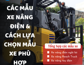 Các Mẫu Xe Nâng Điện & Cách Lựa Chọn Mẫu Xe Phù Hợp