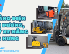 XE NÂNG ĐIỆN BÌNH DƯƠNG, ĐẠI LÝ XE NÂNG GIA HƯNG