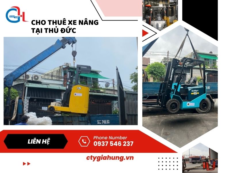Chuyên cung cấp các loại xe nâng chất lượng tại Bình Dương và khu vực lân cận